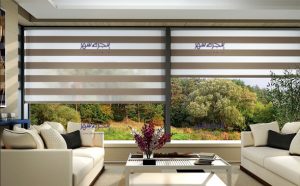 پرده زبرا، پنجره شهر